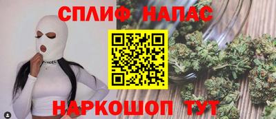 гидра Можга