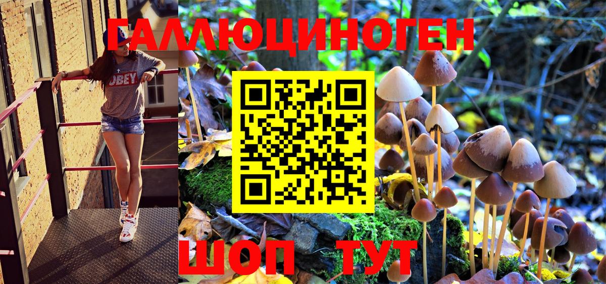 Галлюциногенные грибы Psilocybe  купить  цена  Щёлково  Вход с VPN  Псилоцибиновые грибы MAGIC MUSHROOMS 