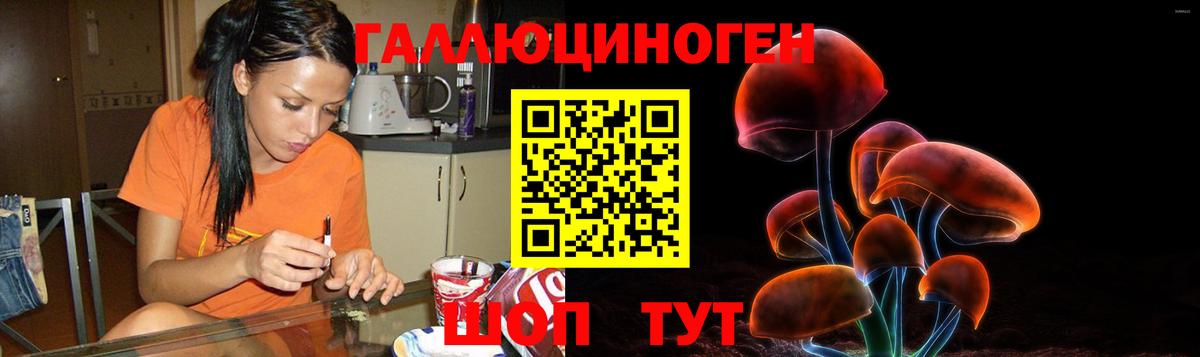Псилоцибиновые грибы GOLDEN TEACHER Щёлково